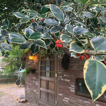 Vakantiehuis 6p